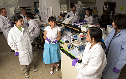 Kalina Hristova,center, directs a Johns Hopkins lab team that specializes in membrane biophysics and biomolecular materials. Photo by Will Kirk//HomewoodPhoto.jhu.edu 
