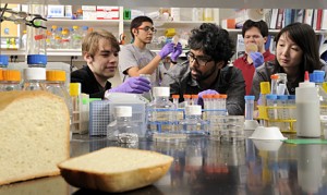 In campus labs, the students developed a genetically engineered yeast to add vitamin A to the diets of malnourished people. Phot by Will Kirk/Homewoodphoto.jhu.edu .