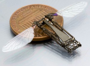 The butterfly research will aid the development of flying bug-size robots. Picture is an insect-inspired flapping-wing micro air vehicle under development at Harvard. Photo provided by Robert J. Wood, associate professor, and Pratheev Sreetharan, Harvard Microrobotics Lab, Harvard University.  