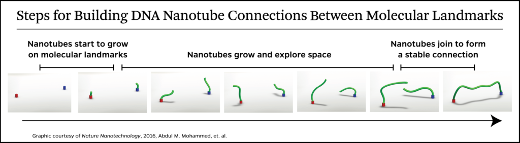 dna-nanotube-schematic