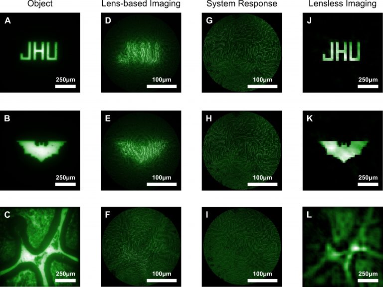 The three images on the beads are (A) the letters JHU, (B) a bat shape, (C) an image of cells. They are clear when viewed with the bulk microscope and fuzzy when viewed with the lens-based microendoscope. In images from the lensless microendoscope, the shapes are almost invisible, but the reconstructions of the image data are almost as clear as the bulk microscope.